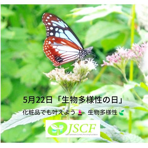 【5月22日 生物多様性の日🌱 】 生物多様性 は産業とも深く関わる🌳 自然資本を多く採用する化粧品も🧴💄 生物多様性に配慮した生産消費 の