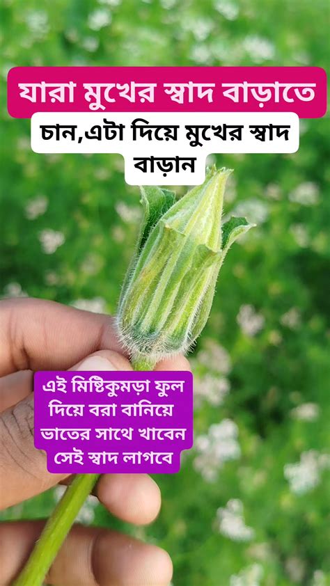 eta khabenswad paben kbiraji pramrs facebook
