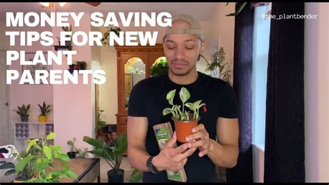 Money Saving Tips For New Plant Parents Youtube