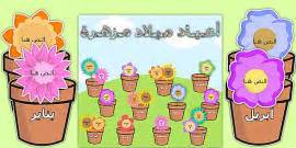 Blooming Birthdays Flower Display Pack Arabic Translation