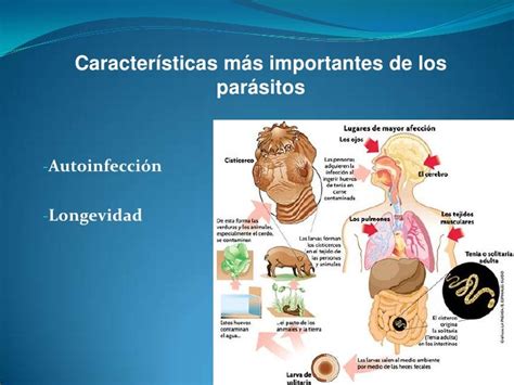 Enfermedad Parasitaria