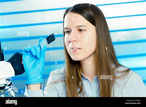 food quality control Stock Photo - Alamy