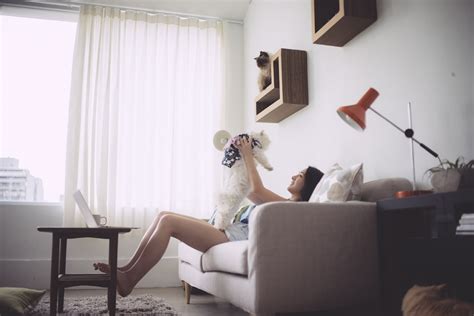 KATRIS - Cat Photos and KATRIS