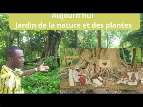 La forêt sacrée du royaume de Hogbonu Porto Novo une histoire très