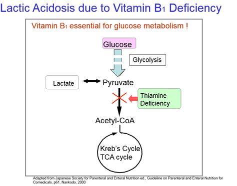 Parenteral Fluid and Nutrition Therapy: The Role of Thiamine in PN