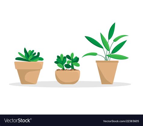 Set Of Three Potted Plants Royalty Free Vector Image