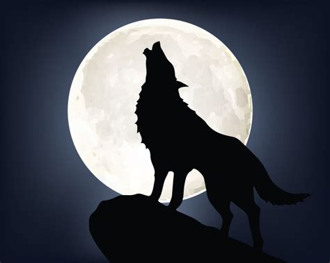 Lone Wolf Vector Images (over 270)