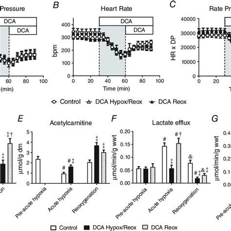 Effect Of Acute Hypoxia Grey Bar And Dichloroacetate DCA Infusion