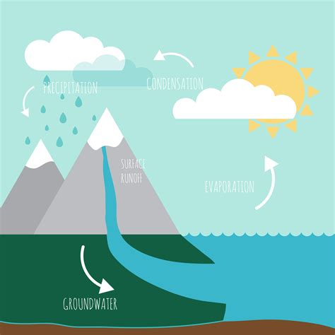 El Agua Ciclo 7
