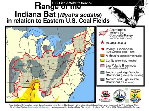 PPT - COAL MINING & INDIANA BAT POPULATION TRENDS PowerPoint ...