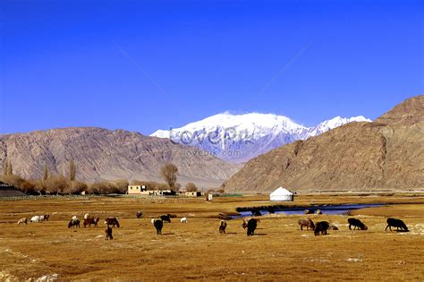 Humedal De Jincaotan En La Meseta De Pamir Kashgar Xinjiang Foto