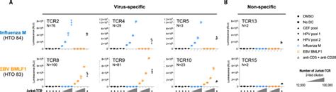 Jurkat Nfat Luc Cell Lines ATCC Bioz