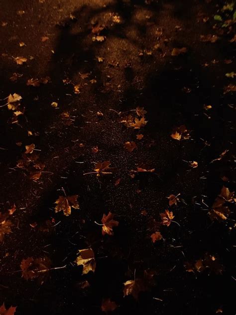 Autumn Leaves Fairy Lights