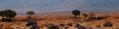 Ngorongoro Conservation Area - Wikitravel