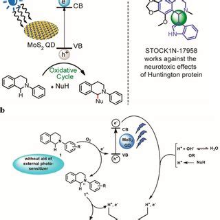 Preparation Of MoS 2 CZ300 Photocatalyst And The Suggested Charge