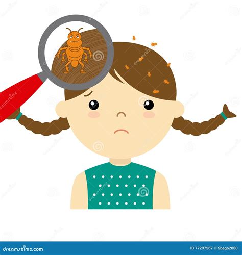 Head Lice Risk Factors Symptoms And Treatment Poster Vector