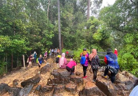 Post Covid Taman Negara Kuala Tahan Blooms Back To Life New