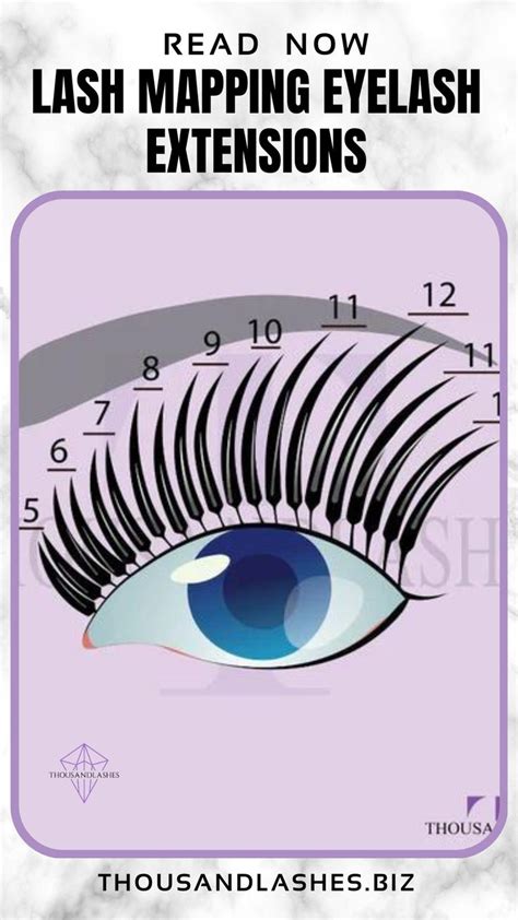 Eyelashes Pattern Arch Brows Natural Eyelashes Types Of Curls Lash