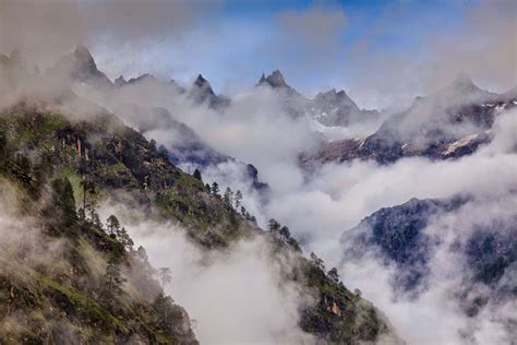 Deodar Forest, Himachal Pradesh - Unsolved Mysteries India