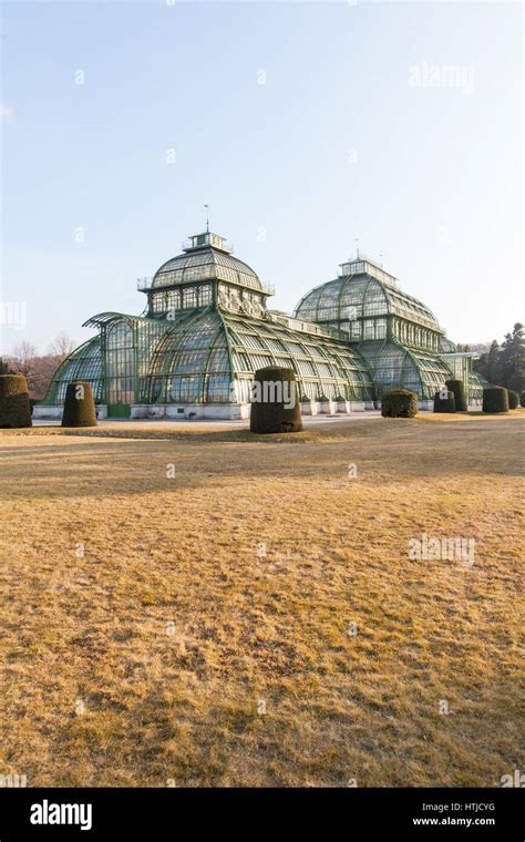 Palmenhaus Oder Palmenhaus Im Schlosspark Schönbrunn Wien Österreich