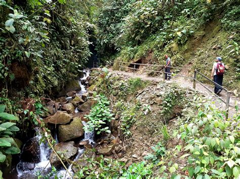 Mindo Cloud Forest Tour Review Ecuador Andean Trails