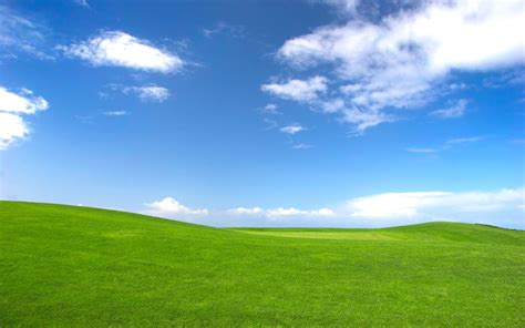 Grass and Sky Wallpaper - WallpaperSafari