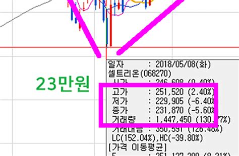 셀트리온 종목분석 19년 01월 02일 주식투자는 절제하면 승리한다