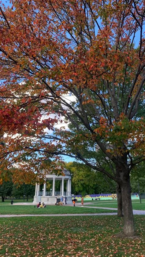 Fall leaves Boston common park fall weather | Autumn leaves photography ...