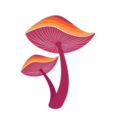 Ilustración de vector de hongo reishi ganoderma lingzhi Vector Premium