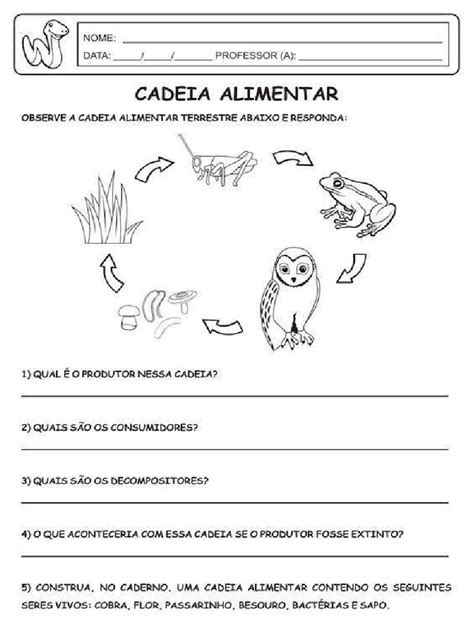 Desenho Cadeia Alimentar