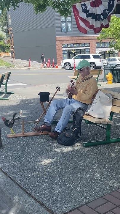 Rooster Dancing To The Mandolin Player In Friday Harbor Youtube