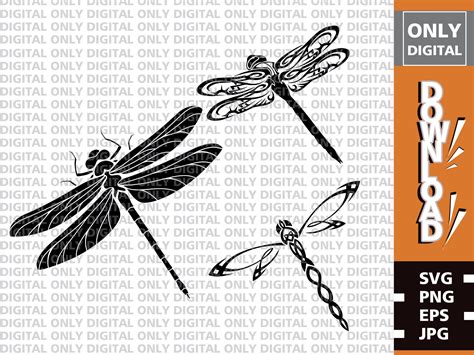 Dragonfly Svg Dragonfly Svg Bundle Dragonfly Clipart Etsy