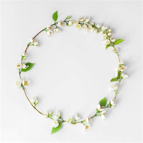 Images de Fond Blanc Couronne Fleurs Téléchargement gratuit sur Freepik