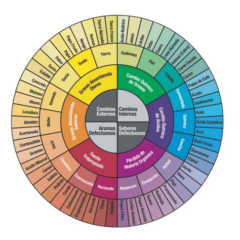 Rueda De Sabores Del Catador Imanado