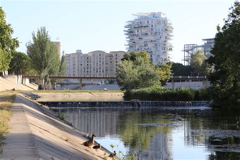 Les Meilleures Activit S En Plein Air Montpellier