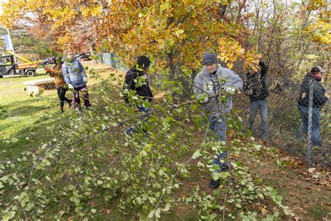 CVTC Students Target Invasive Plants ⋆ 715Newsroom.com
