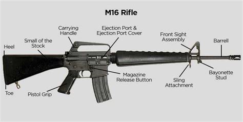 The Anatomy of an M16 Rifle: A Visual Guide to its Parts - WireMystique