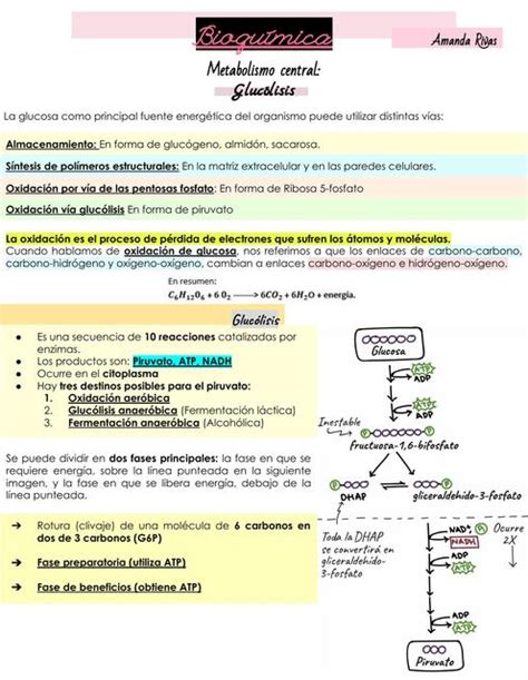 BIOQUÍMICA uDocz