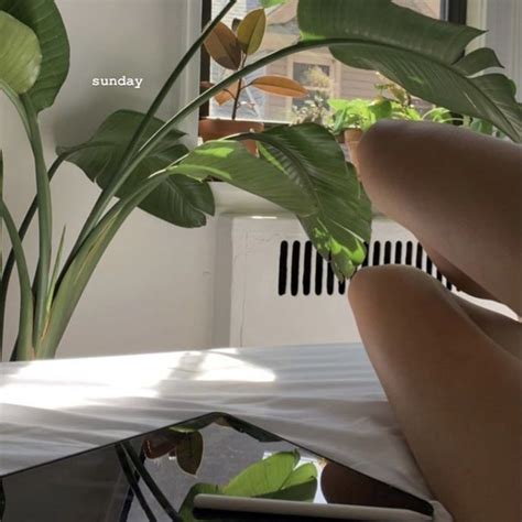 There Is A Plant In The Window Sill Next To A Bed With White Sheets