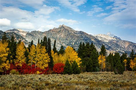 Fall Colors Jackson Hole Wyoming The Colors Of Fall In J Flickr