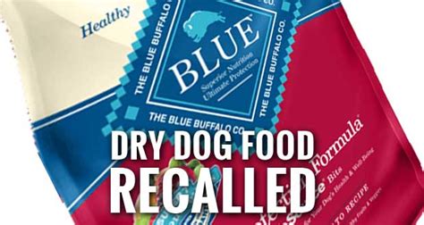 Blue Buffalo Dry Dog Food Recalled Due to Possible Mold