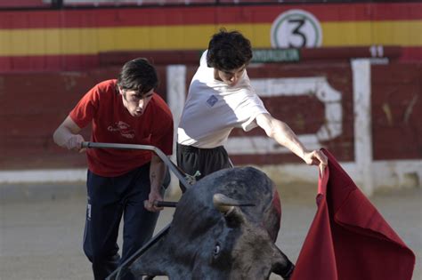 Las Asignaturas Que Debes Conocer Para Aprobar La Fp De Tauromaquia