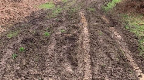 North Yorkshire beauty spots damaged by illegal off-road vehicles - BBC