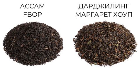 Популярные виды чая в нашем магазине: выбираем лучшие сорта | Блог ...