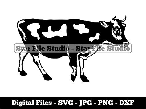 Cow Svg Dairy Cow Svg Cattle Svg Heifer Svg Cow Png Cow  Cow