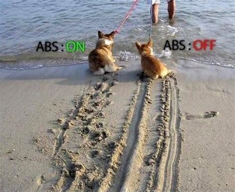 Understanding ABS Systems: How Do They Work and What Types Are There?