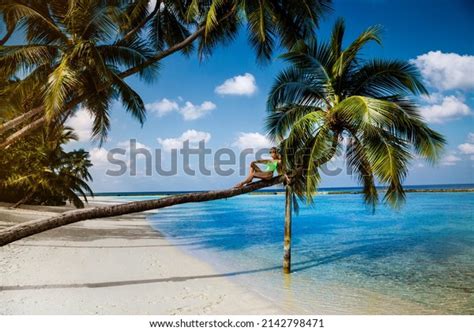 Beautiful Woman Bikini On Palm Tree Stock Photo Shutterstock