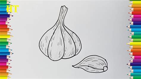 How To Draw A Garlic Step By Step Garlic Drawing Easy For Kids