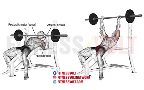 Incline Barbell Bench Press (Upper Chest) – Fitness Volt