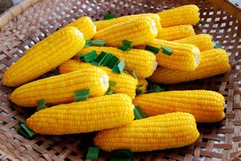 Гликемический индекс вареной кукурузы, свежей, кукурузных хлопьев